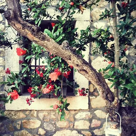 Relais Castrum 3* Pedemonte