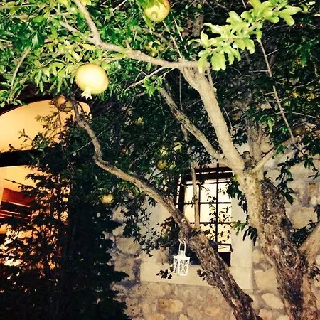 Relais Castrum Guest house Pedemonte