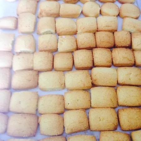 招待所 Relais Castrum