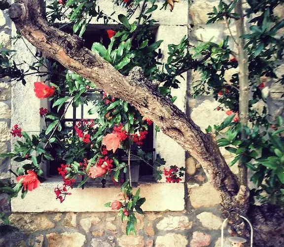 Relais Castrum 3* Pedemonte