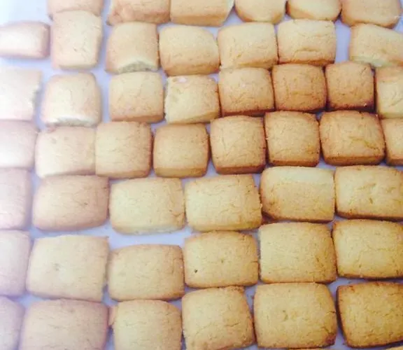 Pensionat Relais Castrum